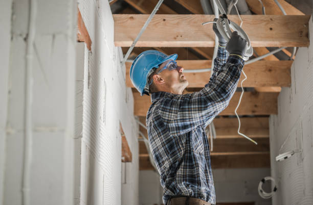 Best Electric Panel Repair  in Mathis, TX